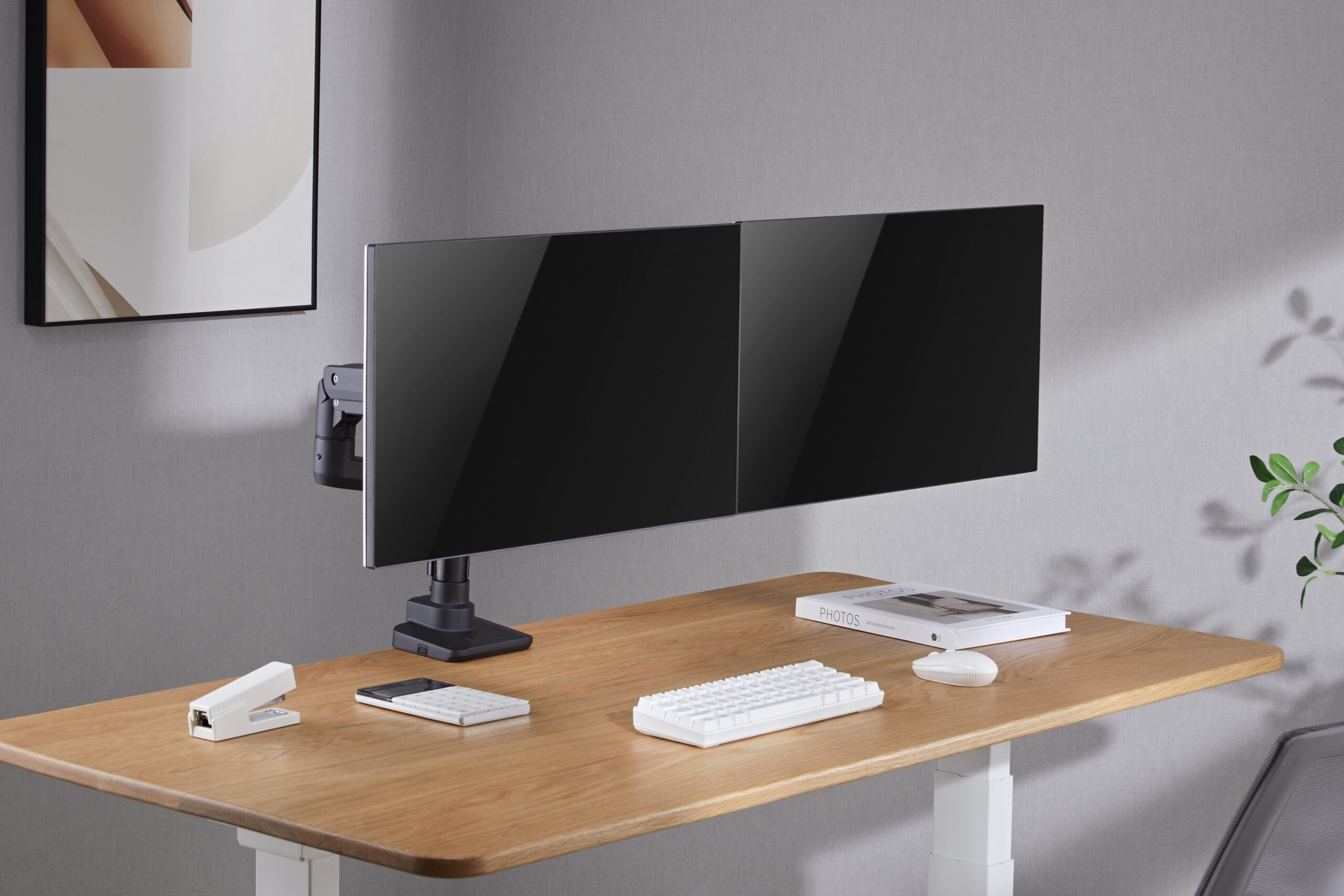 Կռանշտեյն 2 մոնիտորի համար 17"-49" LDT69-C024P - Image 3